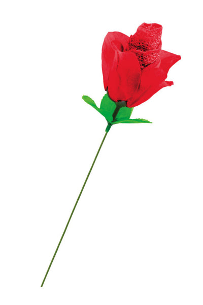 Rose surprise avec petite culotte - Fun Novelties