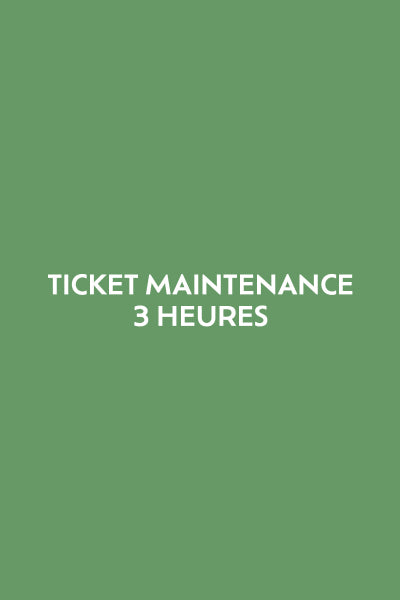 Ticket 3 heures de maintenance
